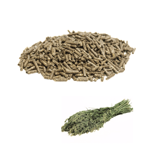 Combideal Adult voeding + haver