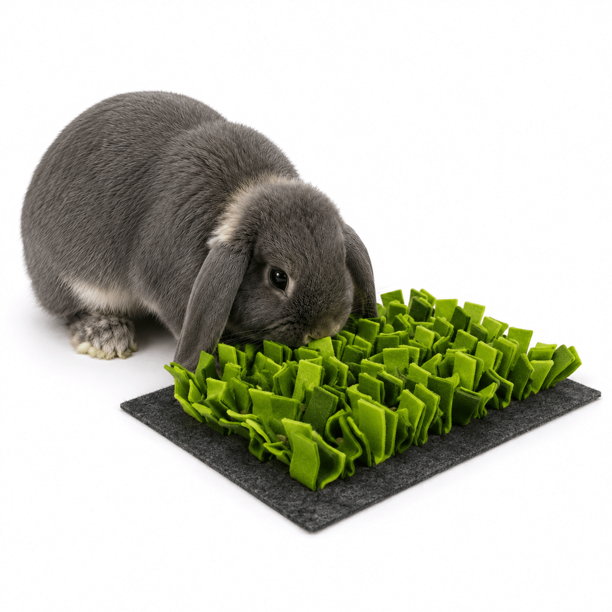 Snuffelmat - BramsRabbits