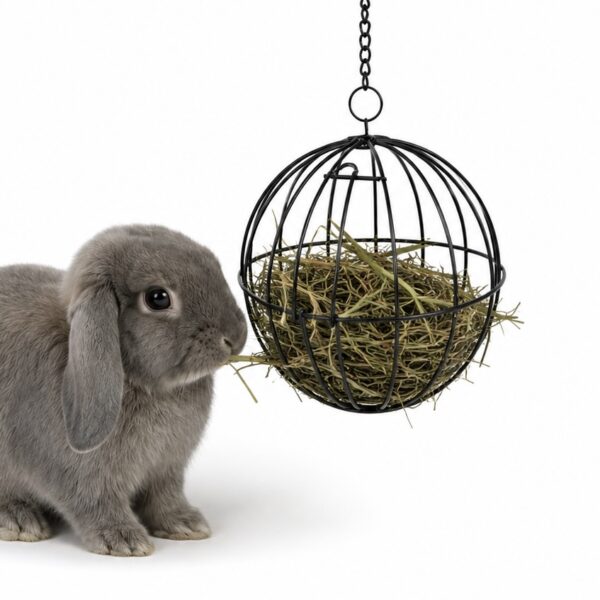 Hooibal XL - BramsRabbits