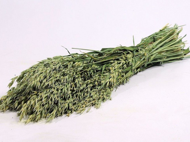 Voordeelpakket snacks - BramsRabbits - Afbeelding 4