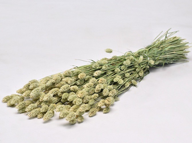 Voordeelpakket snacks - BramsRabbits - Afbeelding 5