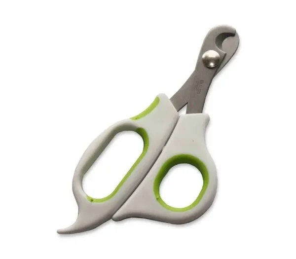 Nagelschaar - BramsRabbits